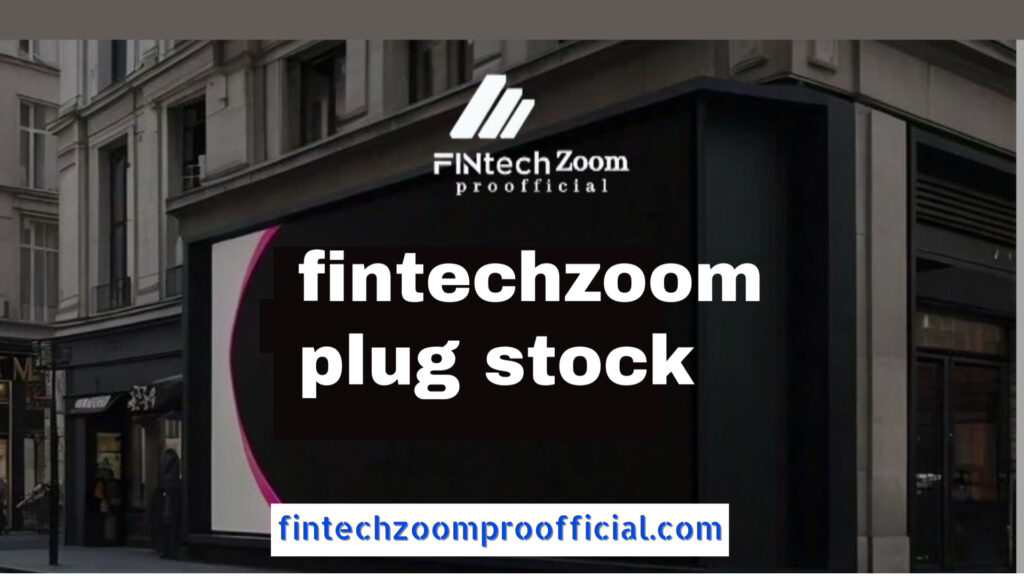 Analyzing the Risks of Investing in FintechZoom Plug Stock 2024