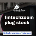 Analyzing the Risks of Investing in FintechZoom Plug Stock 2024